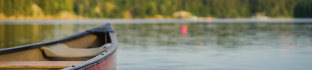 View from a canoe of a river